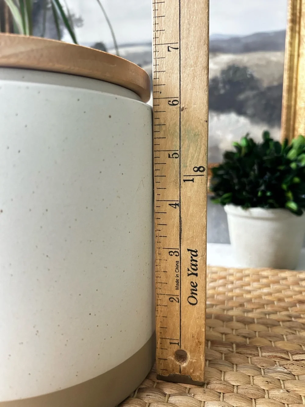 🌴Threshold Two-Tone Speckled Cream Stoneware Canister w/Wood Lid